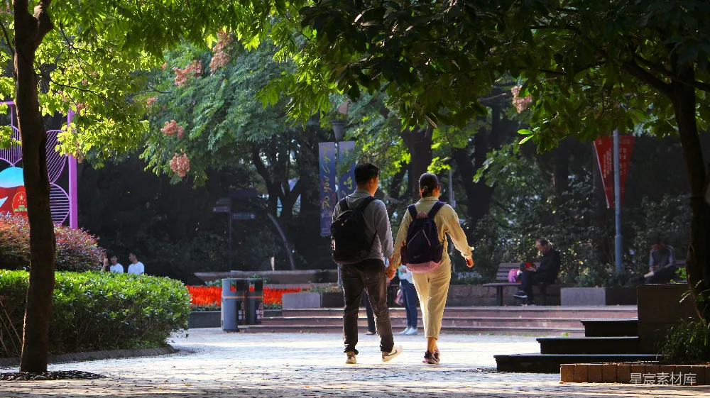 高清摄影 青春 阳光 校园 情侣 自然 校园里的阳光与青春