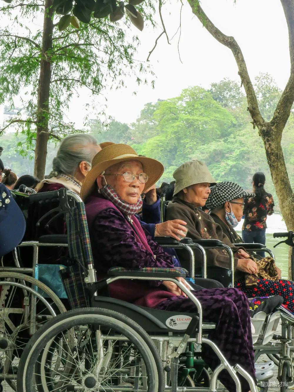 高清摄影 公园 老人 轮椅 休闲 自然 公园里的轮椅老人