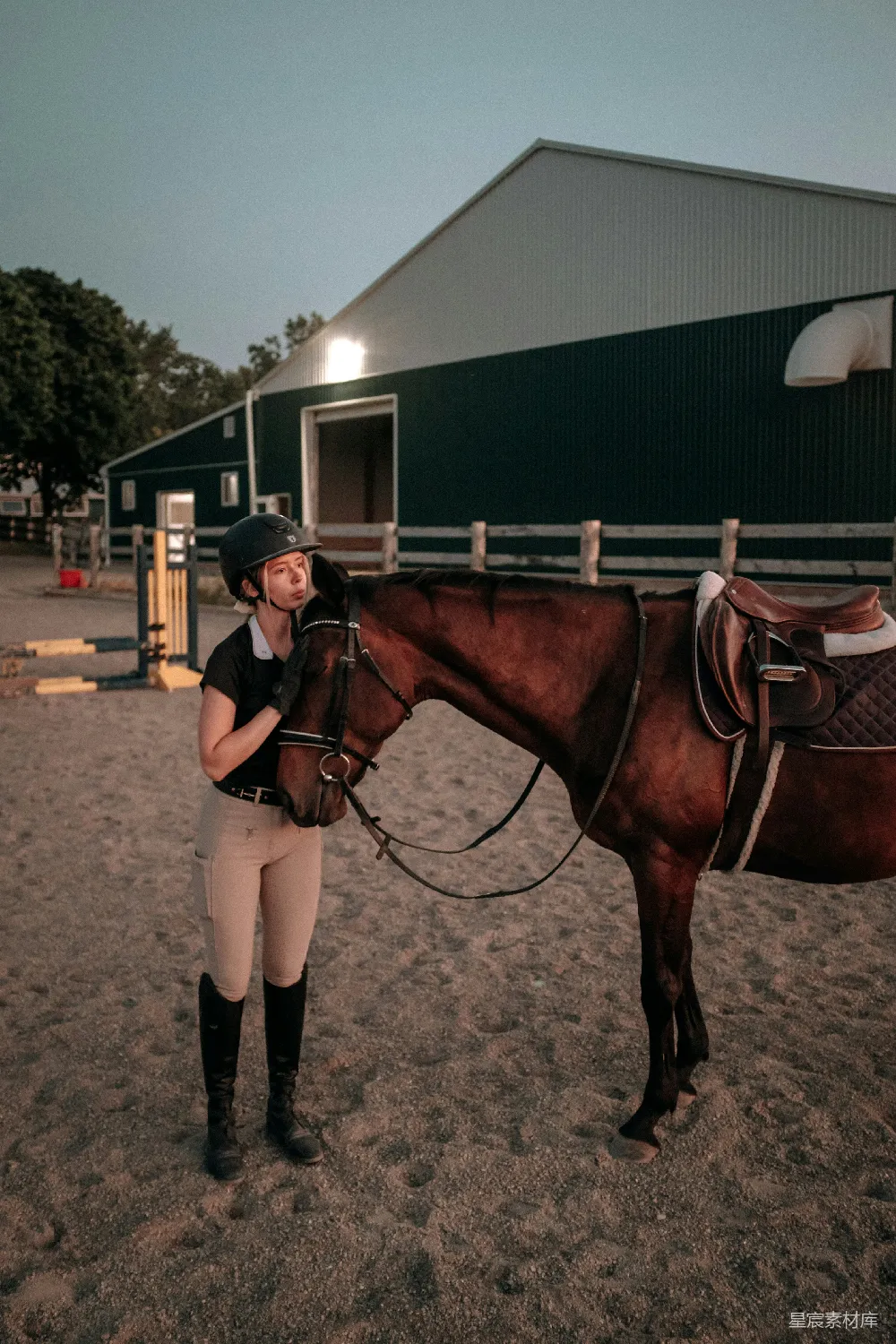 高清摄影 马术 骑术 田园生活 运动 自然 骑手与她的爱马