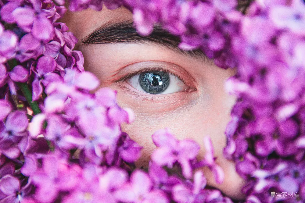 高清摄影 眼睛 紫色 花卉 自然 艺术 紫色花海中的眼睛