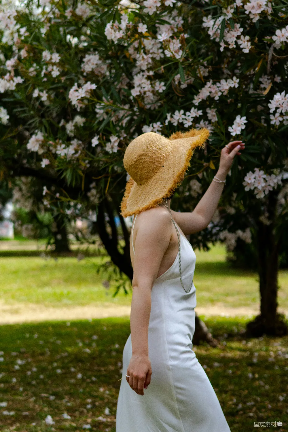 高清摄影 花园 夏季 时尚 自然 女性 在花丛中的优雅时光