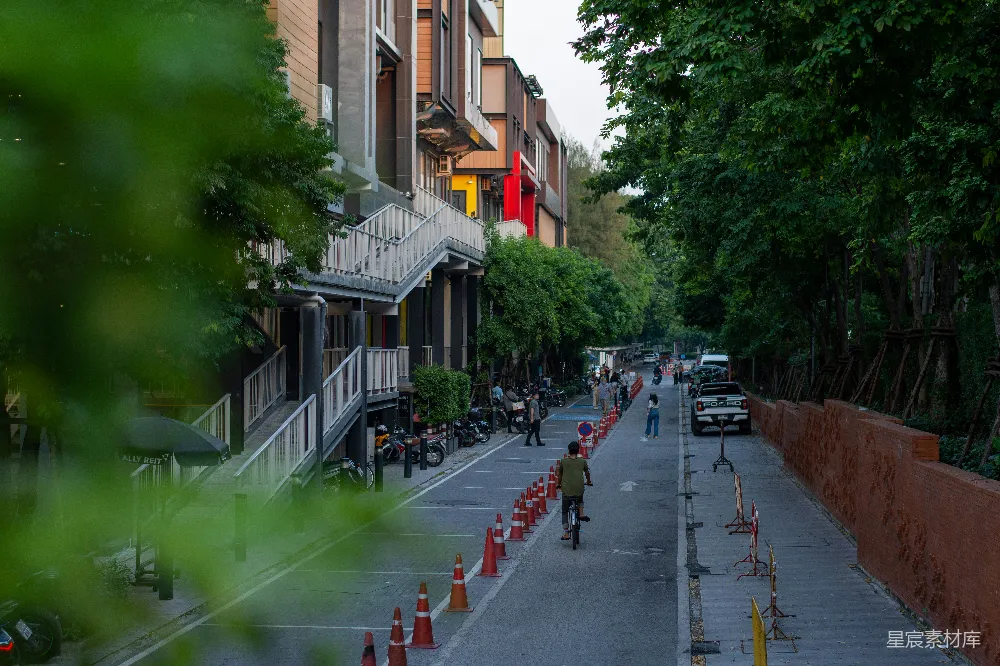 高清摄影 城市 街道 自行车 绿树 宁静 城市慢行街道的宁静时光