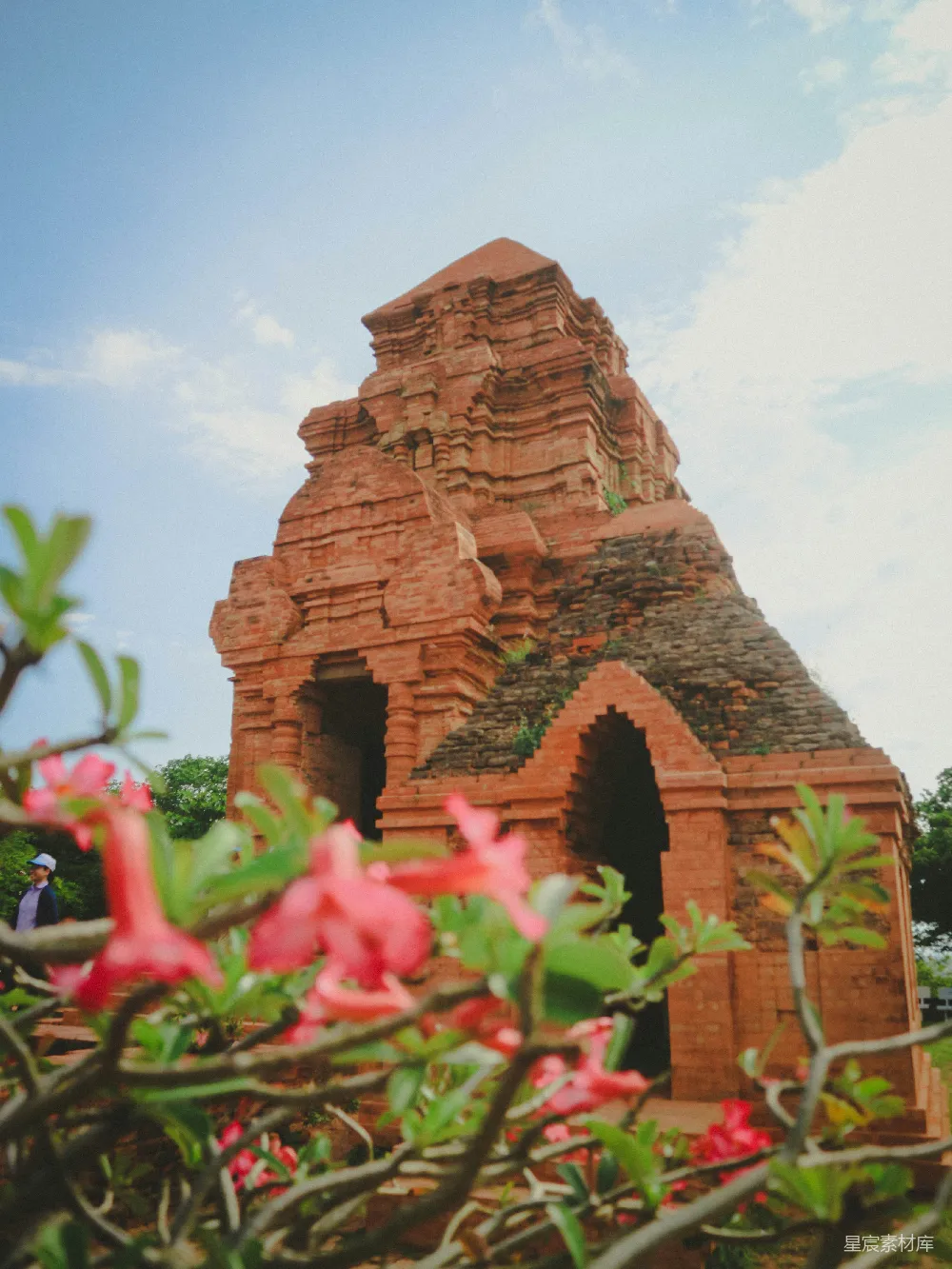 高清摄影 古建筑 自然风光 旅游景点 历史遗迹 春日美景 古塔与盛开的花朵