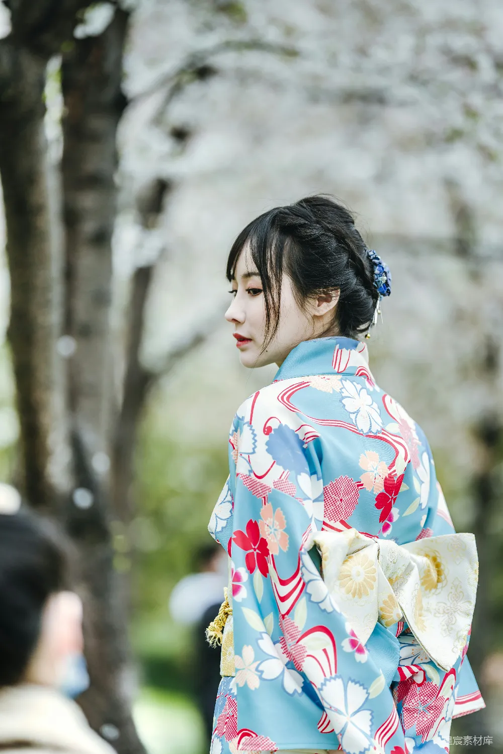 高清摄影 和服 樱花 传统服饰 女性 自然 樱花下的和服女子