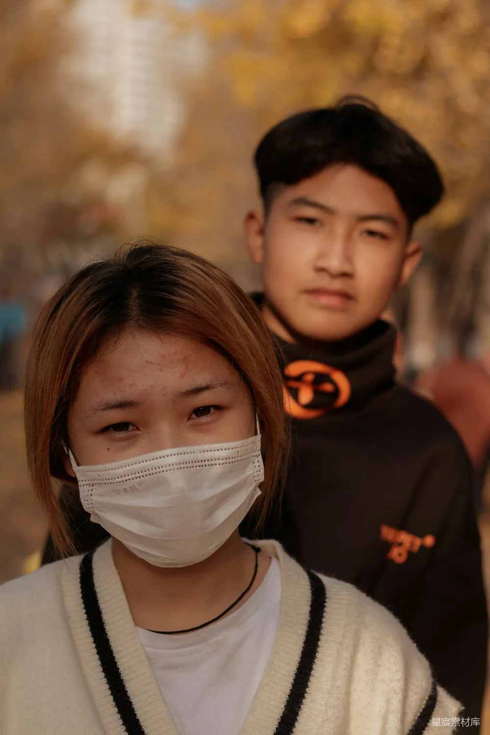 高清摄影 秋天 情侣 自然 亲密 情感 秋日阳光下的温馨时刻
