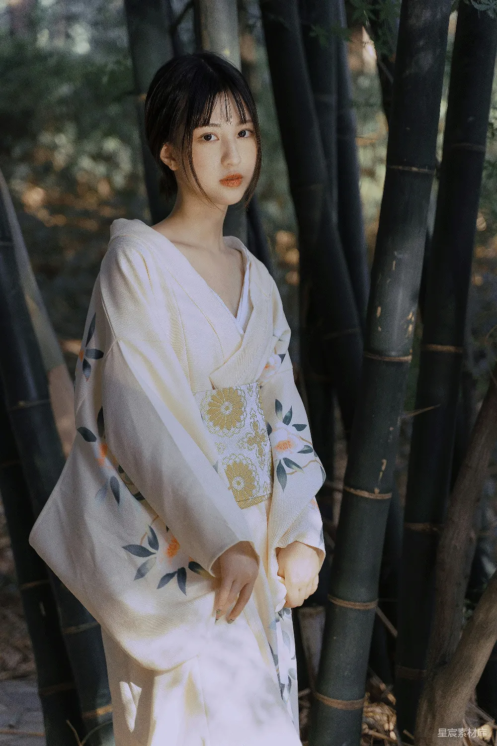 高清摄影 和服 竹林 传统服饰 写真 自然 竹林中的和服女孩