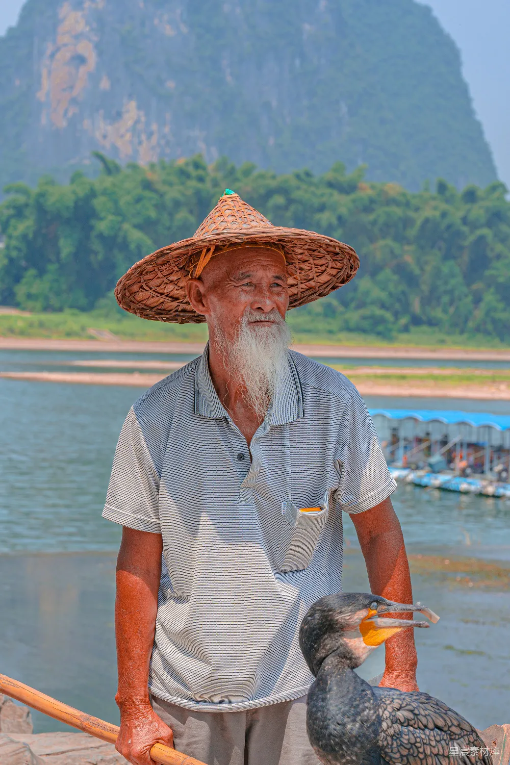 高清摄影 桂林 山水 渔翁 鸬鹚 自然 桂林山水边的渔翁与鸬鹚