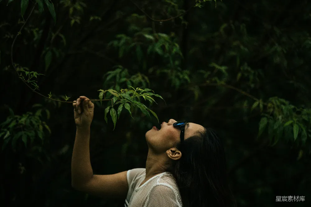 高清摄影 自然 探索 森林 女性 户外 森林中的自然探索