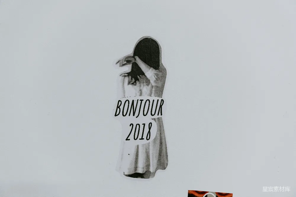 高清摄影 复古风格 黑白艺术 新年祝福 时尚插画 墙面装饰 Bonjour 2018
