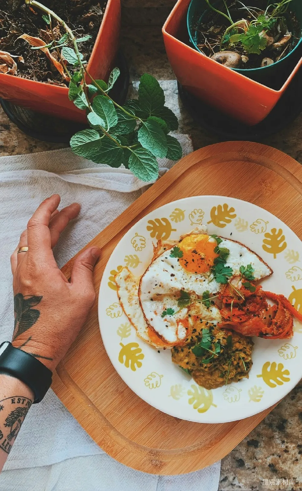 高清摄影 美食 自然 早餐 手绘盘子 植物 手捧美食的自然餐桌