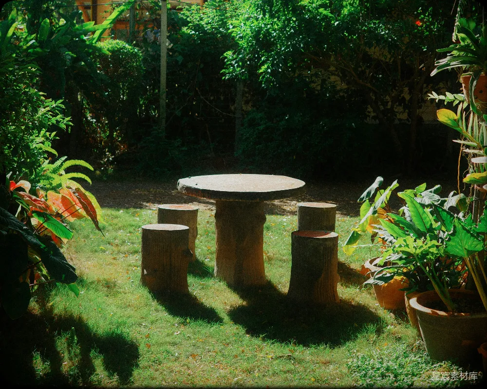 高清摄影 花园 自然 户外 休闲 木制家具 自然风格花园中的木桌与凳子