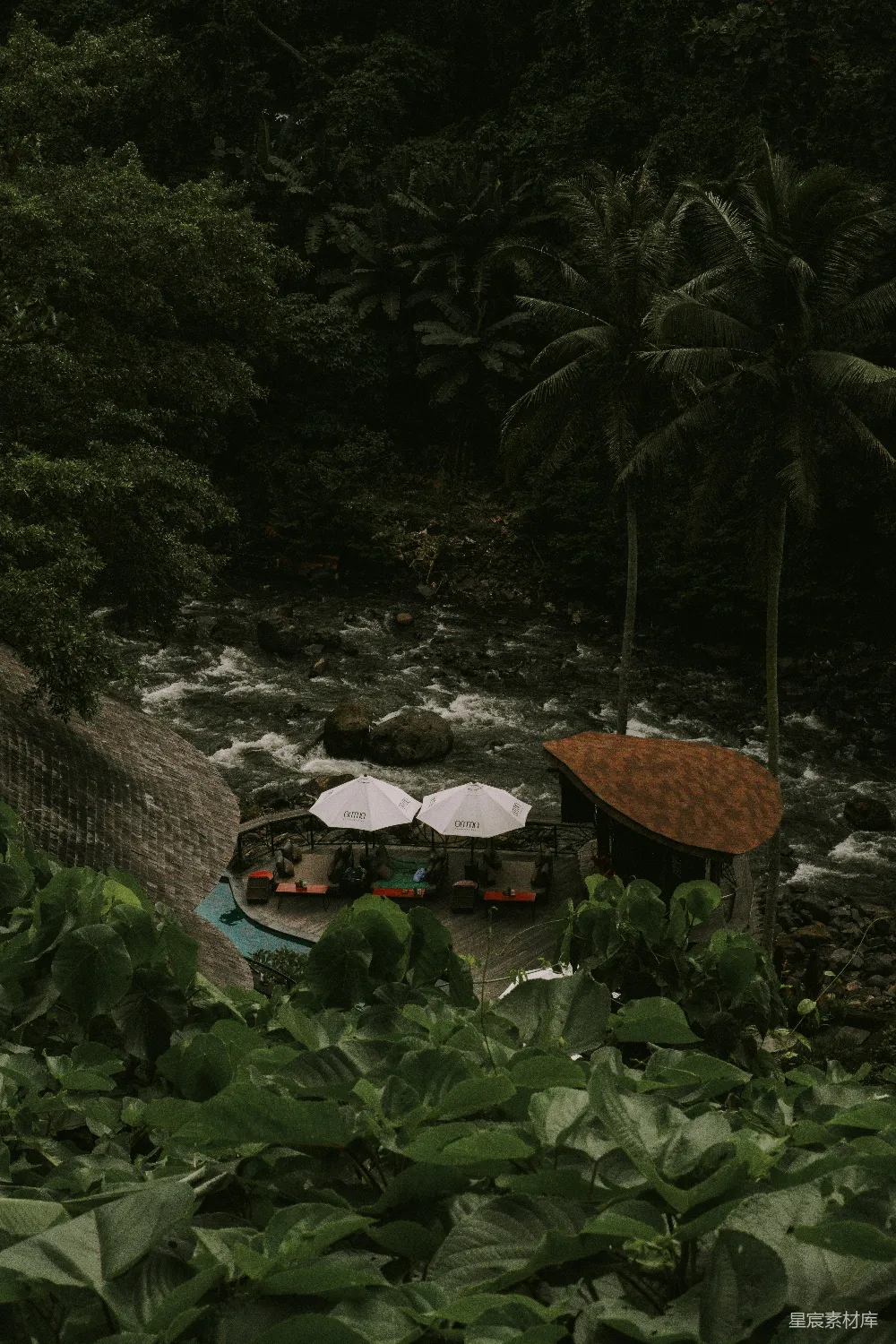 高清摄影 热带雨林 溪流 别墅 休闲 自然 热带丛林中的溪流别墅