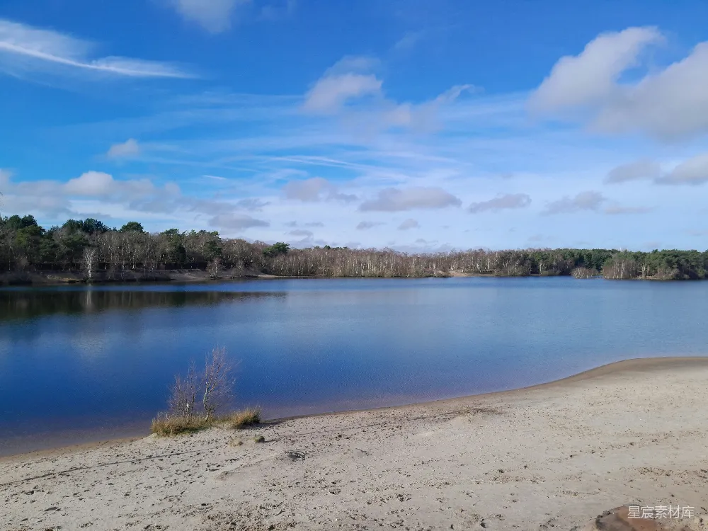 高清摄影 湖畔 冬季 自然风光 宁静 户外 宁静湖畔的冬季风景