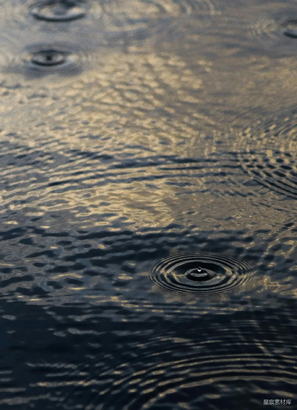 高清摄影 水 涟漪 自然 宁静 水面 涟漪的水面