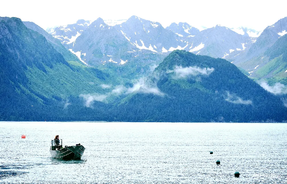 高清摄影 自然风光 宁静湖景 户外活动 山川美景 休闲时光 山间宁静的湖畔时光
