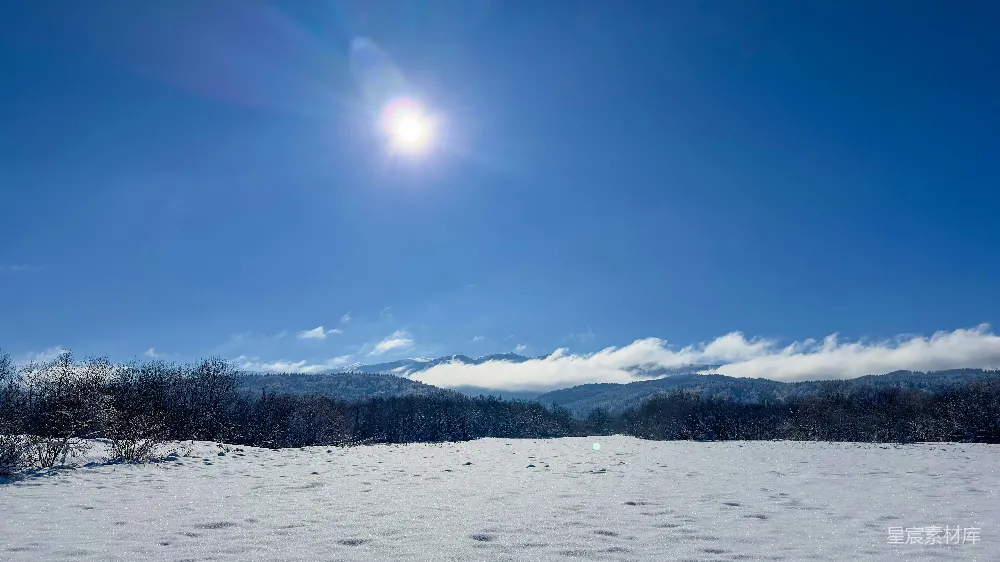 高清摄影 冬季 雪景 自然风光 阳光 宁静 冬日阳光下的雪景