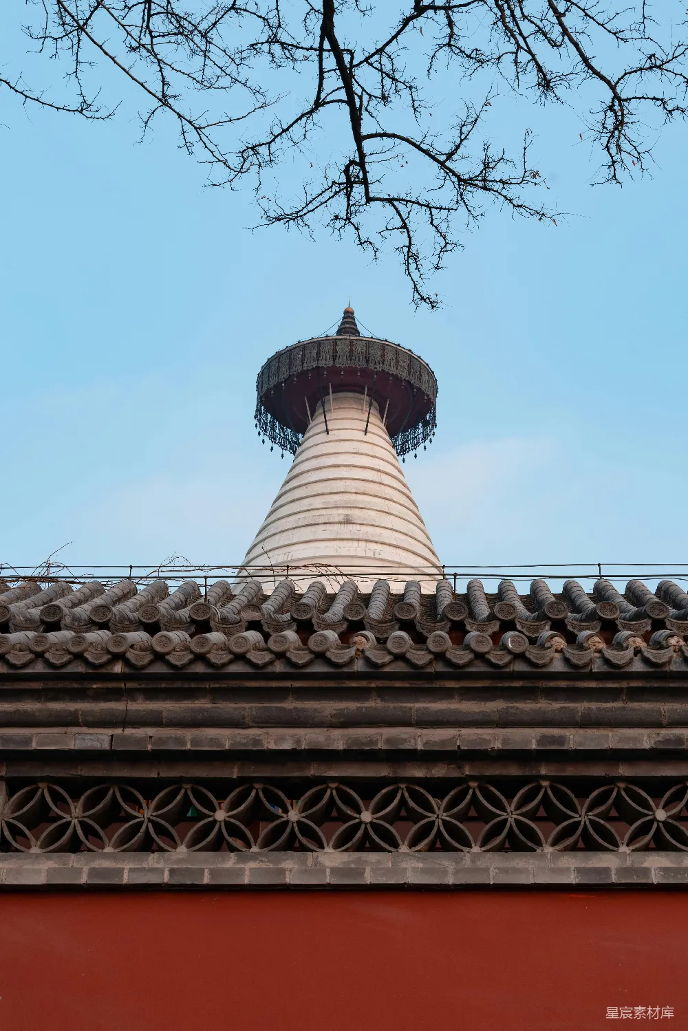 高清摄影 古塔 冬日 传统建筑 文化地标 历史遗迹 古塔与冬日树枝