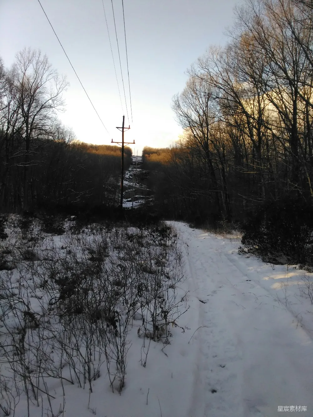 高清摄影 雪地 小径 冬景 乡村 自然 冬日雪地小径