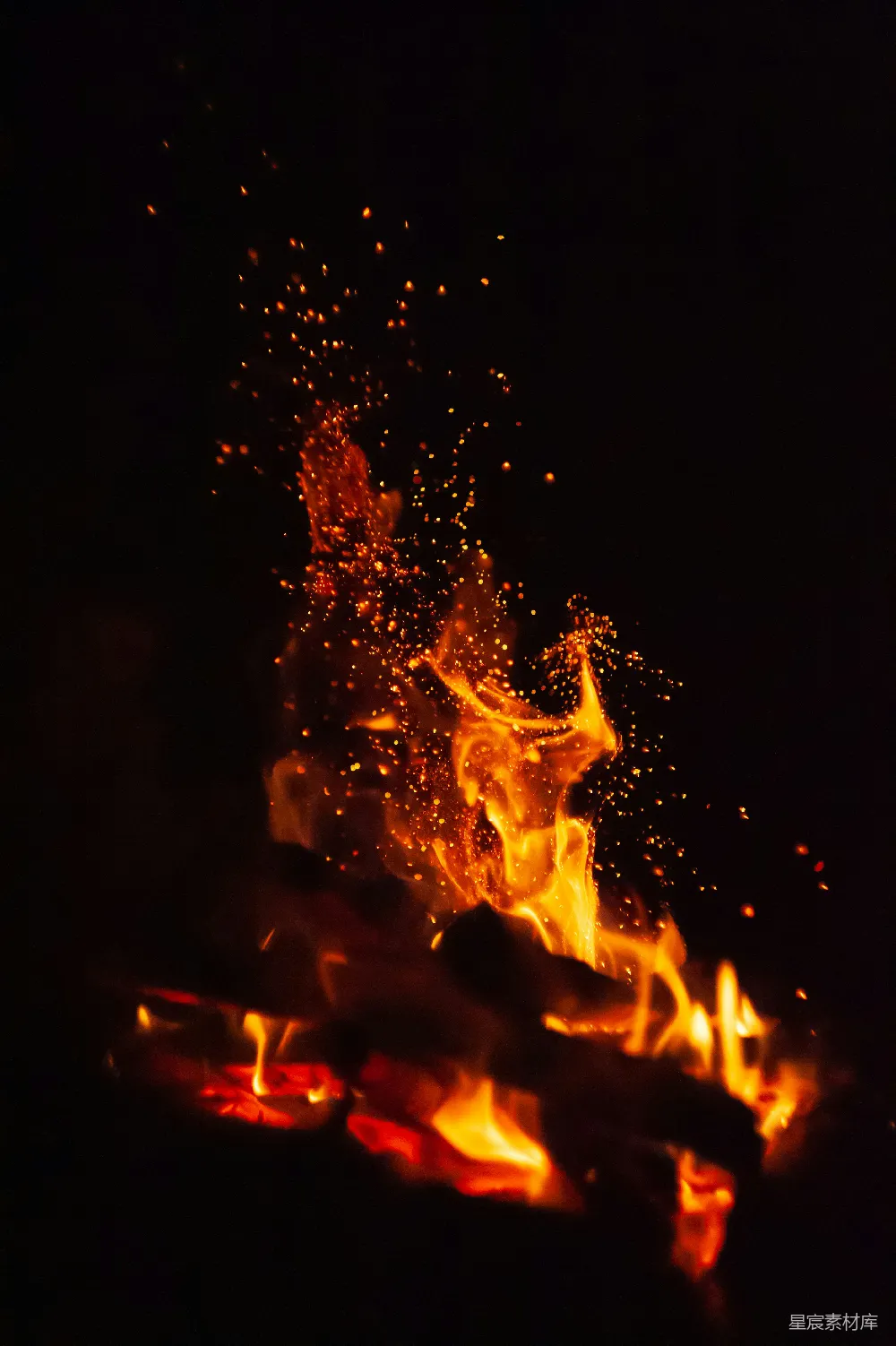 高清摄影 篝火 夜景 温暖 火光 户外 夜晚的篝火