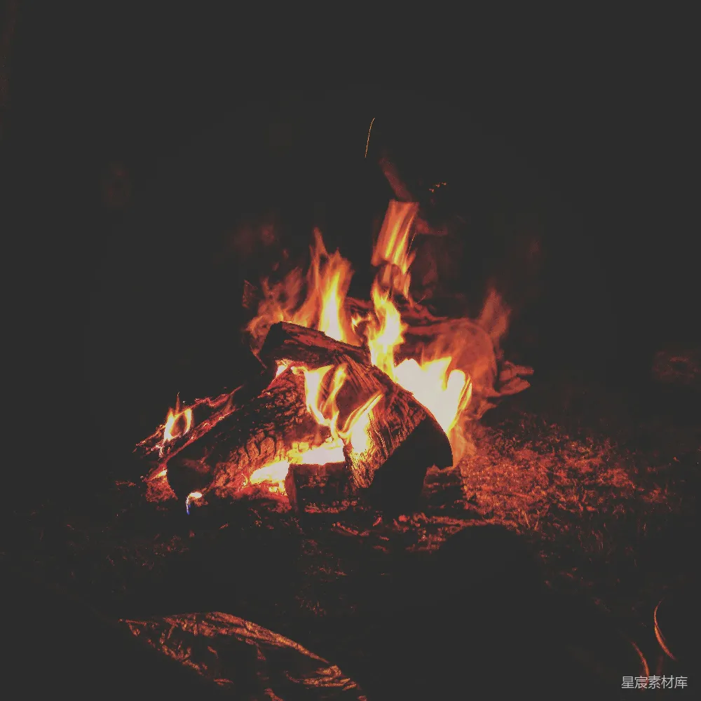 高清摄影 篝火 夜景 户外活动 温馨 自然 篝火夜话
