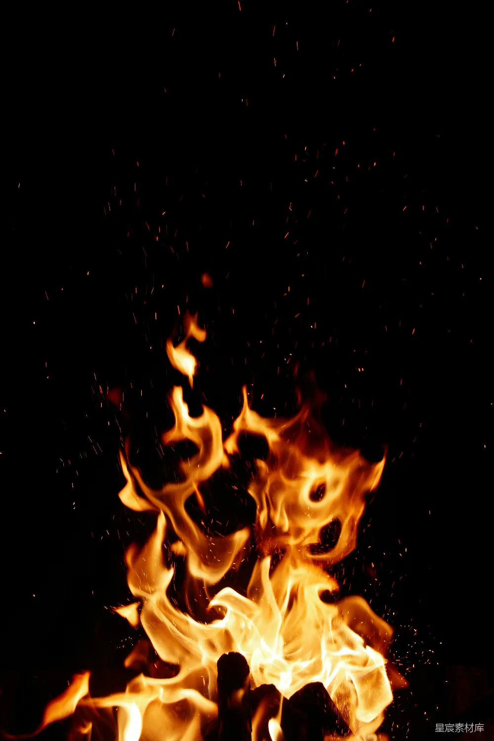 高清摄影 篝火 夜晚 火焰 温暖 户外 夜晚的篝火