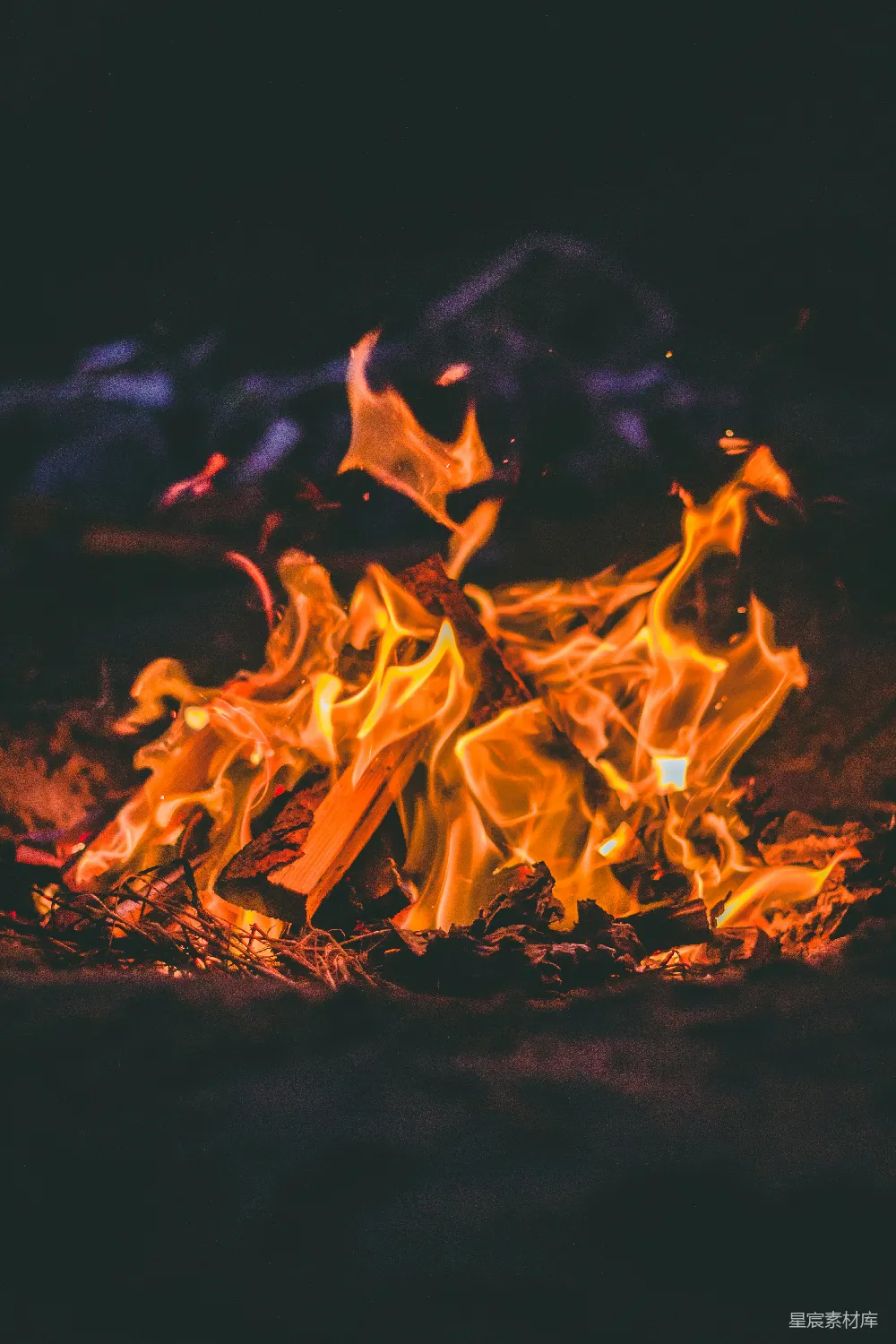 高清摄影 篝火 夜晚 温暖 自然 户外 篝火的温暖
