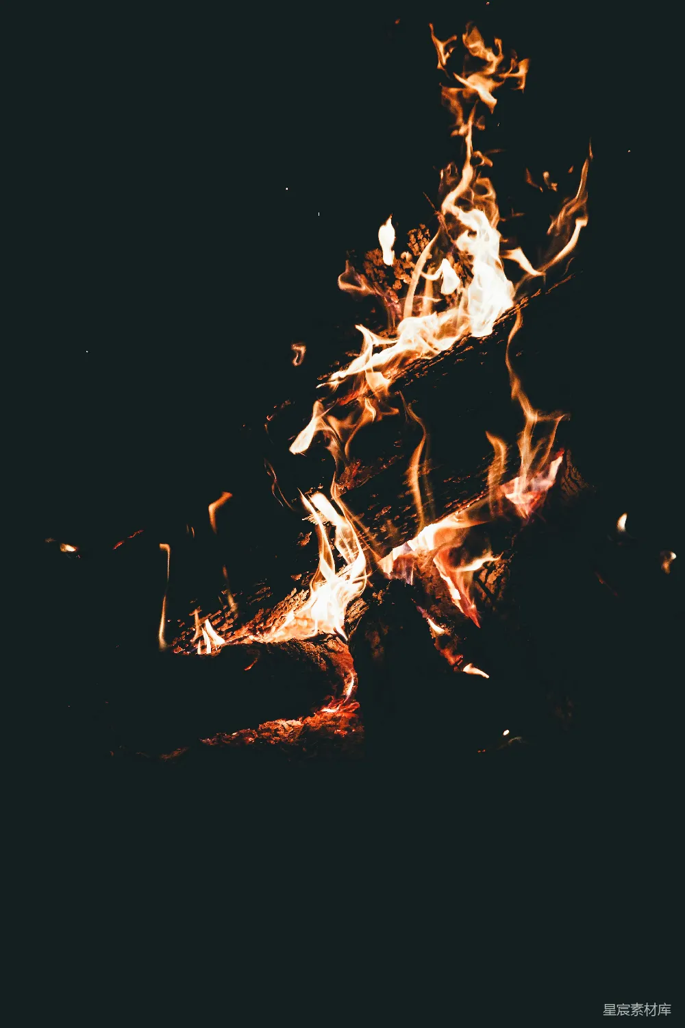 高清摄影 篝火 夜晚 温暖 自然 户外 篝火的温暖