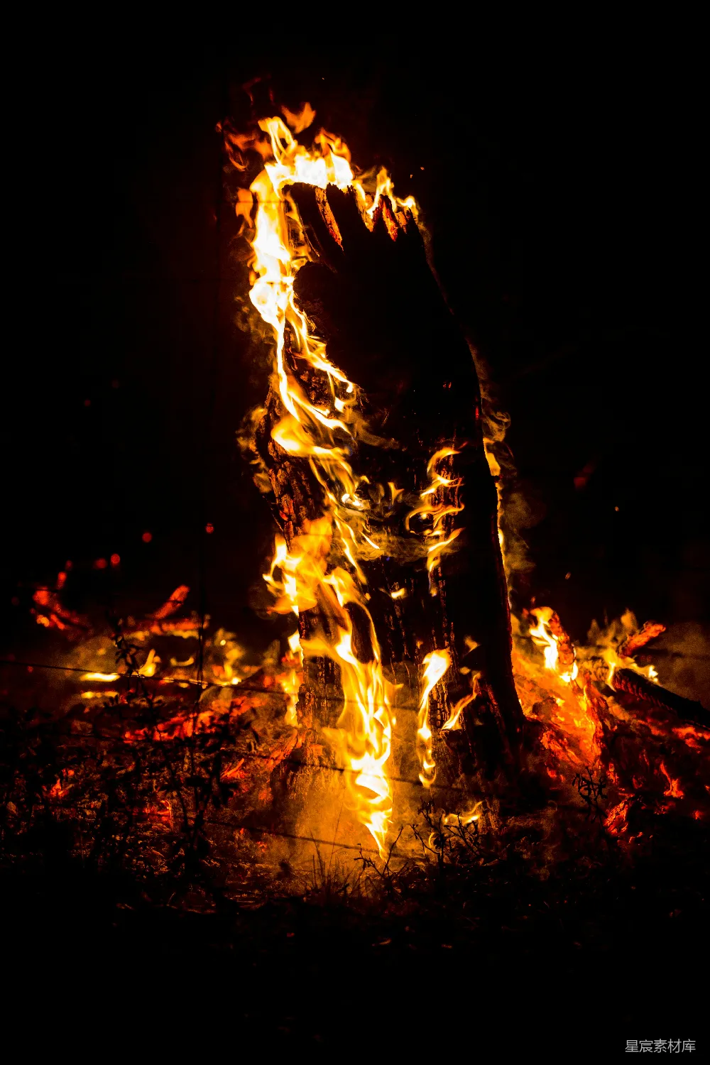 高清摄影 篝火 夜晚 火焰 户外活动 温暖 熊熊燃烧的篝火