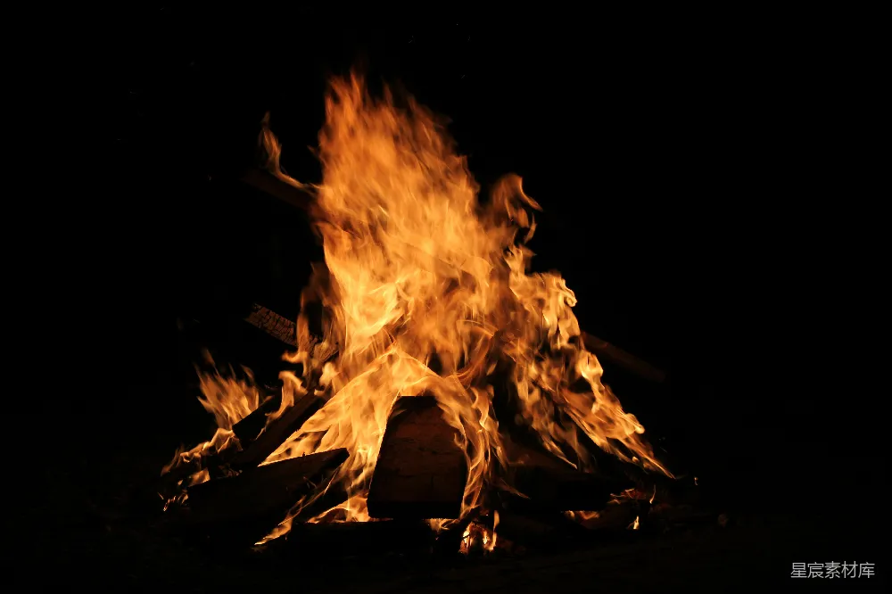 高清摄影 篝火 夜晚 温暖 户外 自然 篝火的温暖