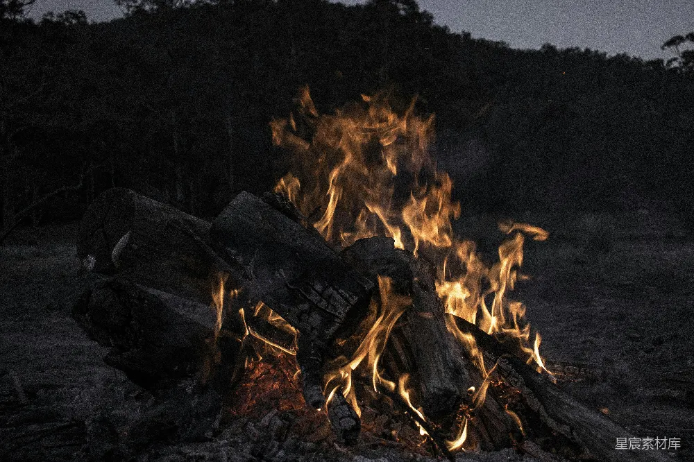 高清摄影 篝火 夜晚 自然 户外 温暖 篝火夜景