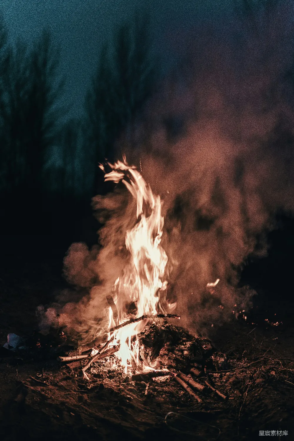 高清摄影 篝火 夜晚 自然 温暖 户外 夜幕下的篝火
