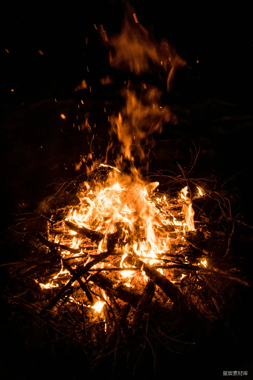高清摄影 篝火 夜晚 自然 温暖 户外 夜晚的篝火