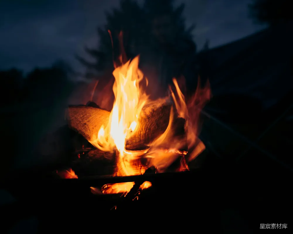 高清摄影 篝火 夜晚 温暖 户外 休闲 夜晚的篝火