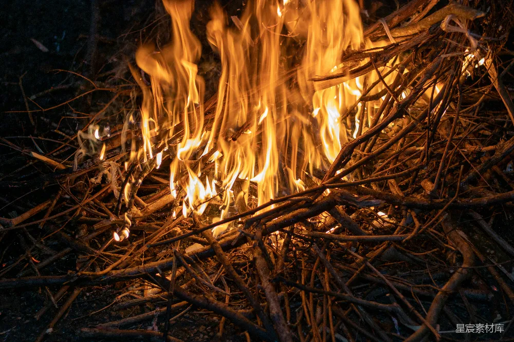 高清摄影 篝火 夜晚 温暖 自然 户外 篝火的燃烧