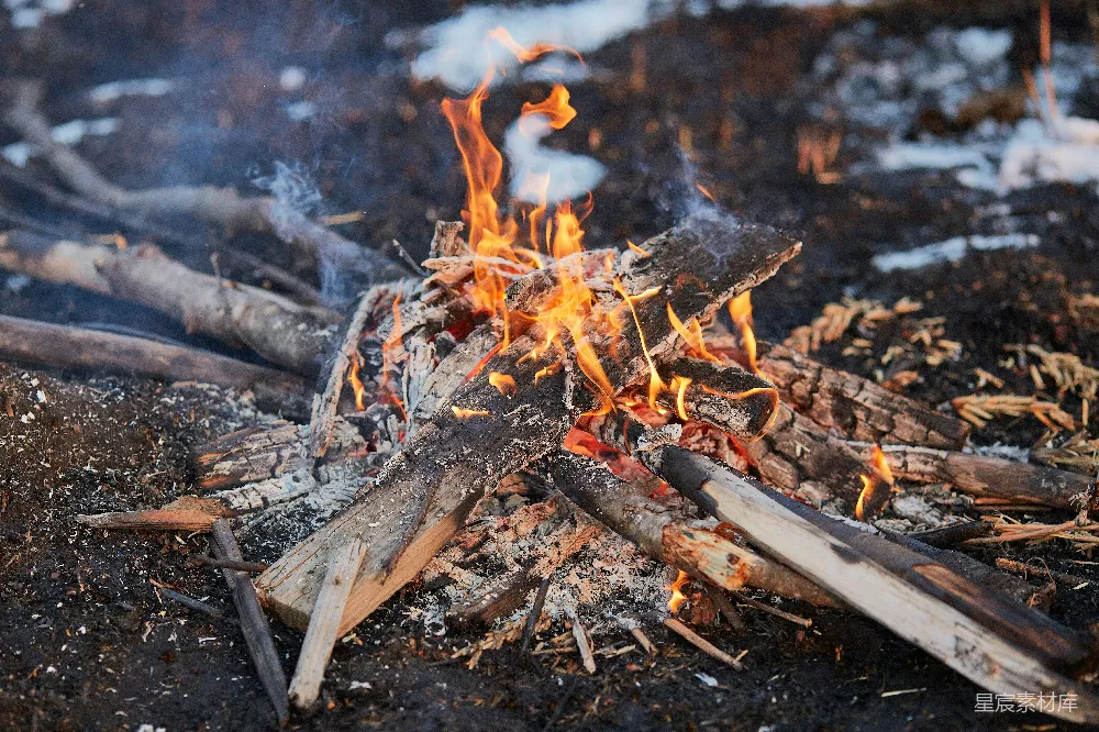 高清摄影 篝火 自然 户外 温暖 露营 篝火与烟雾