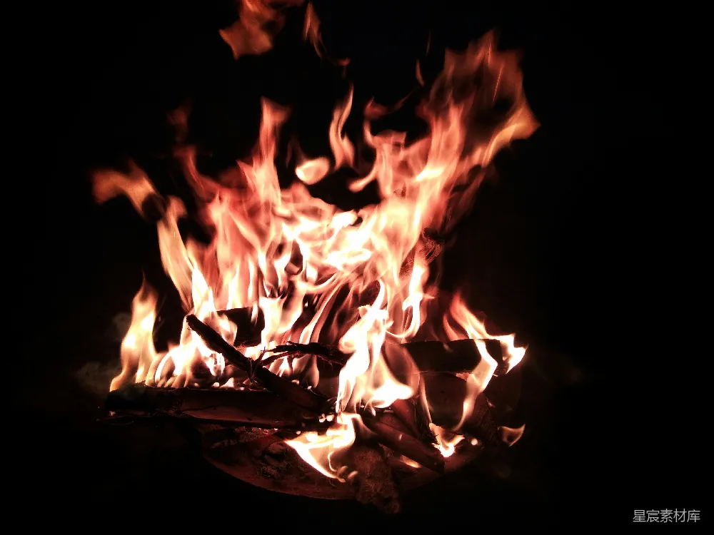 高清摄影 篝火 火焰 夜晚 温暖 户外 篝火的温暖