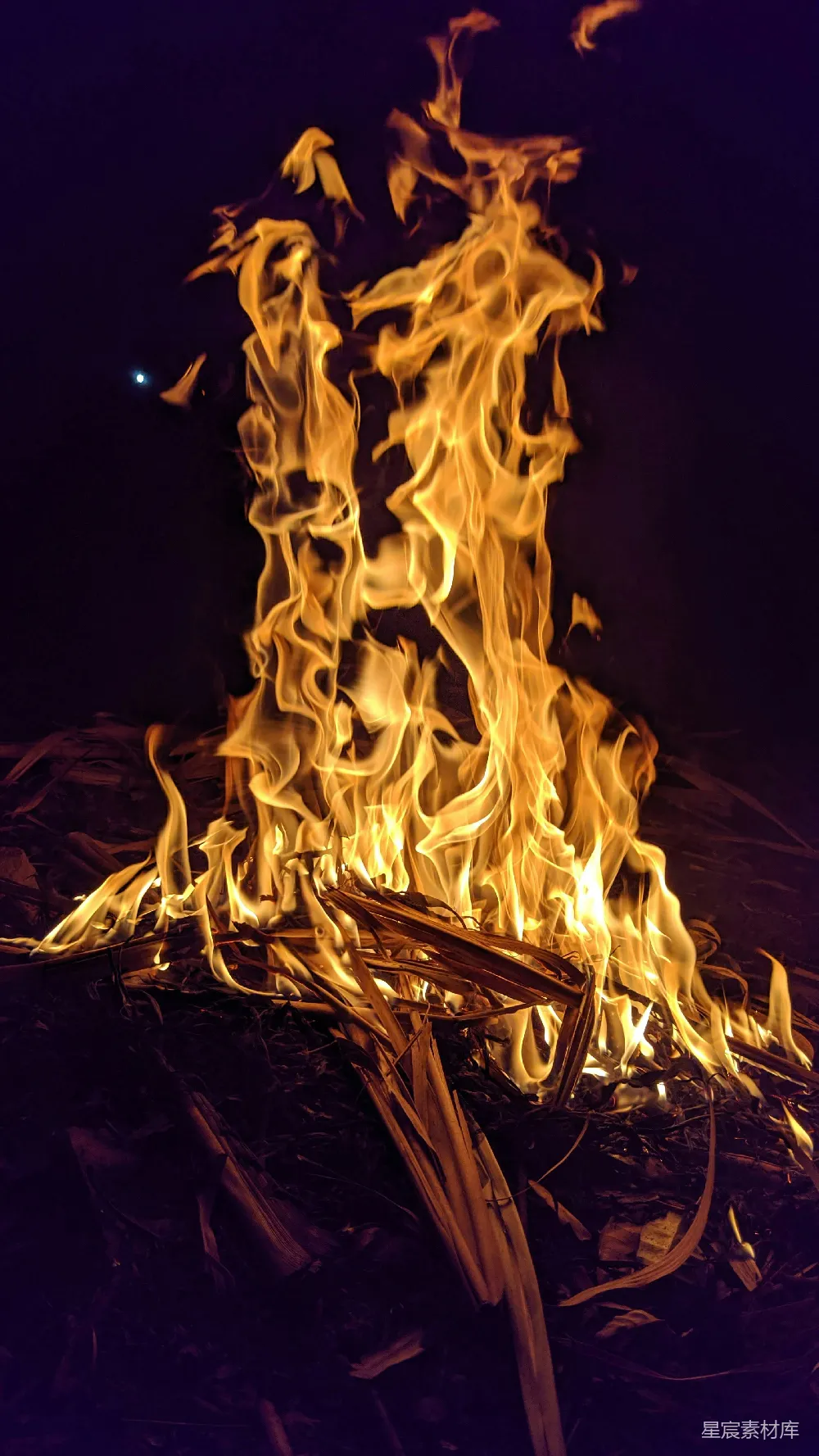 高清摄影 篝火 夜晚 火焰 自然 户外 夜幕下的篝火