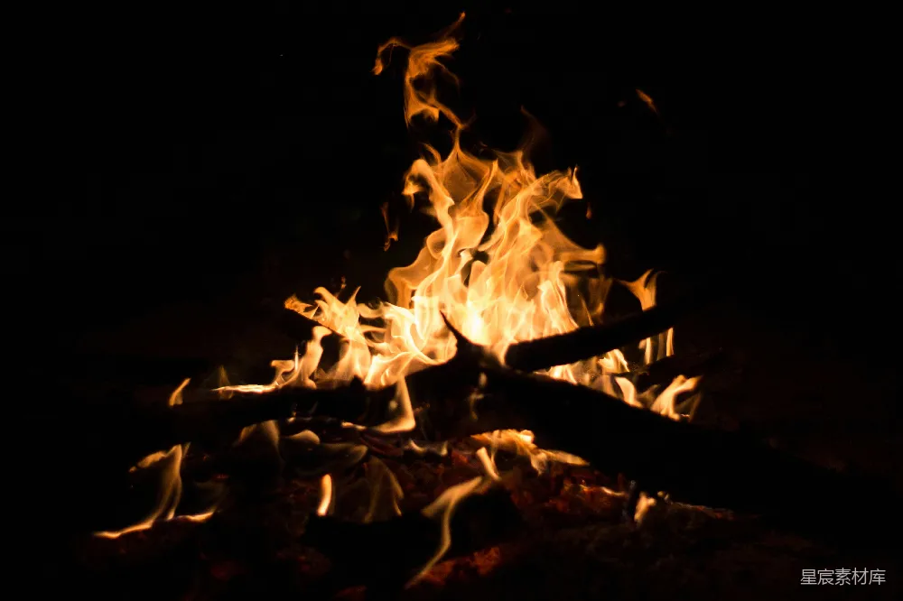 高清摄影 篝火 夜晚 温暖 自然 户外 篝火的夜晚