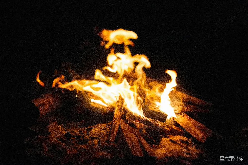 高清摄影 篝火 夜晚 温暖 户外活动 自然 篝火夜景