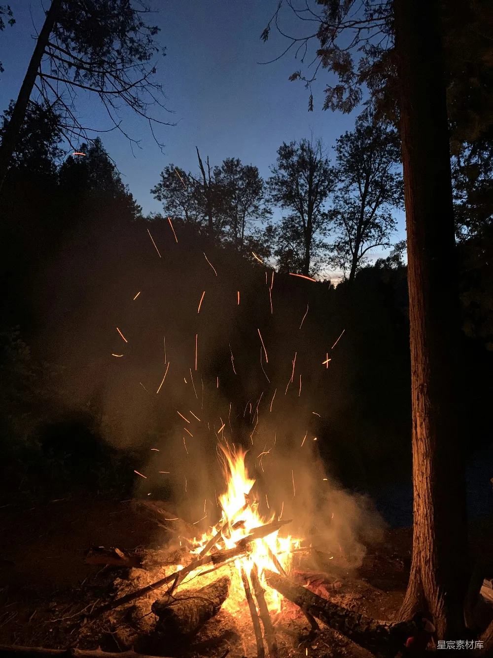 高清摄影 篝火 夜晚 户外活动 自然风光 放松 篝火晚会