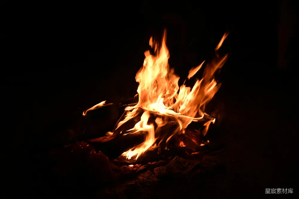 高清摄影 篝火 温暖 夜晚 自然 户外 篝火之夜