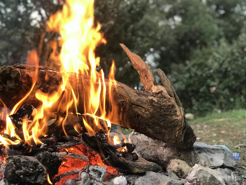 高清摄影 篝火 自然 户外 温暖 野营 篝火夜