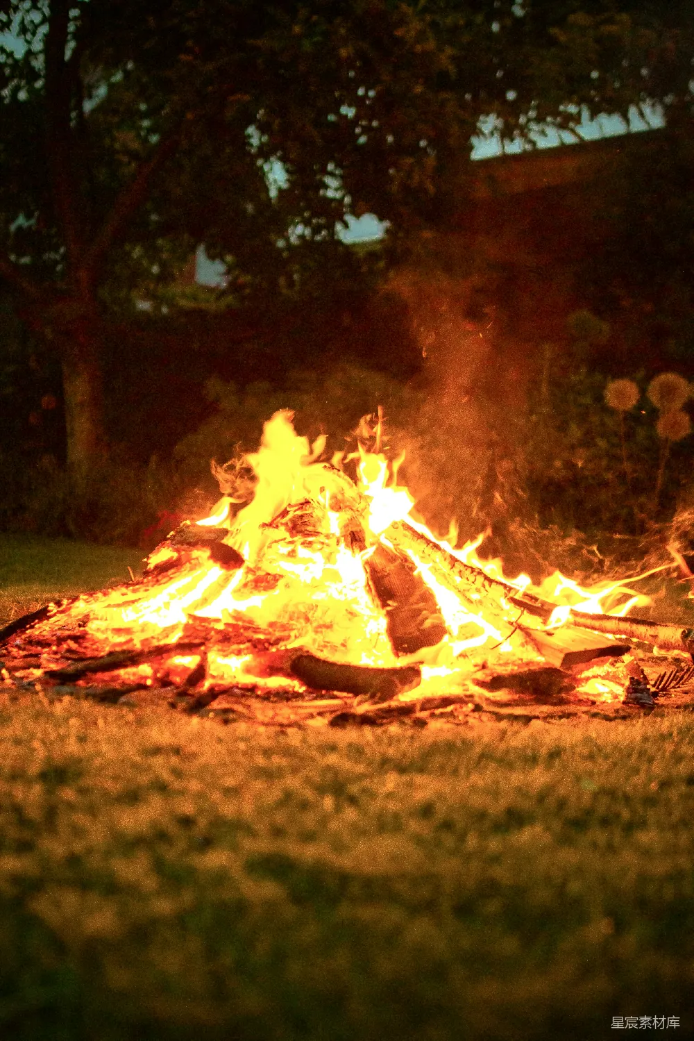 高清摄影 篝火 夜晚 户外活动 自然光 温暖 夜晚的篝火
