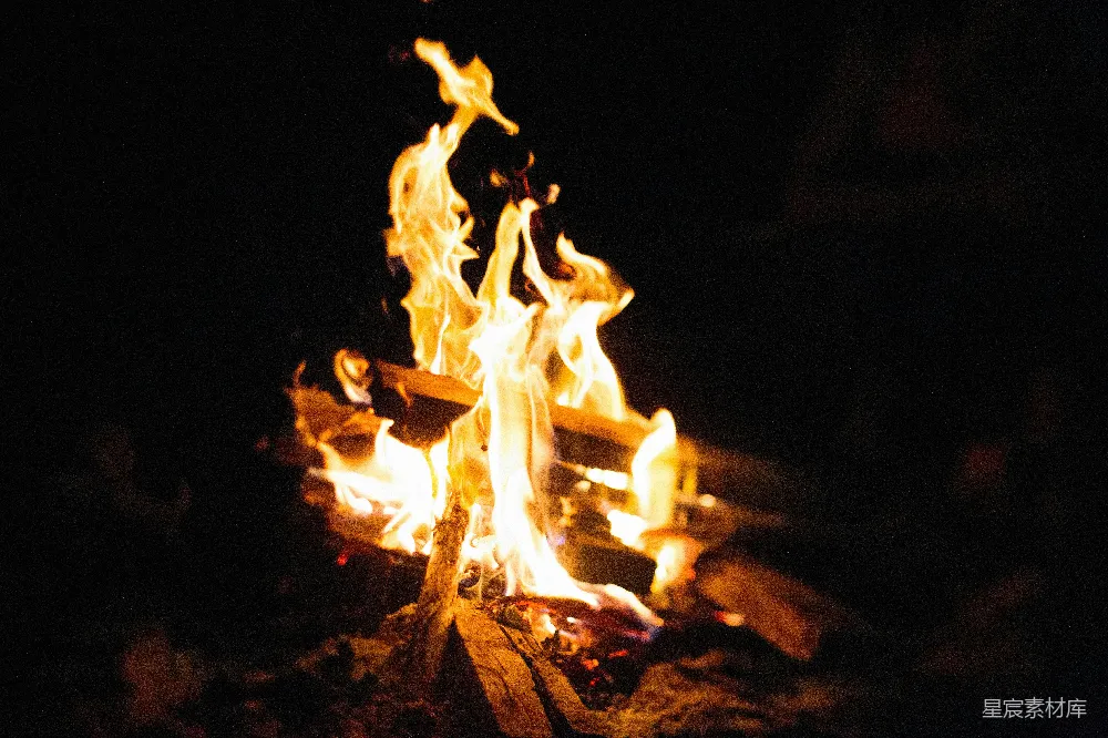 高清摄影 篝火 夜晚 自然 户外 温暖 篝火夜景