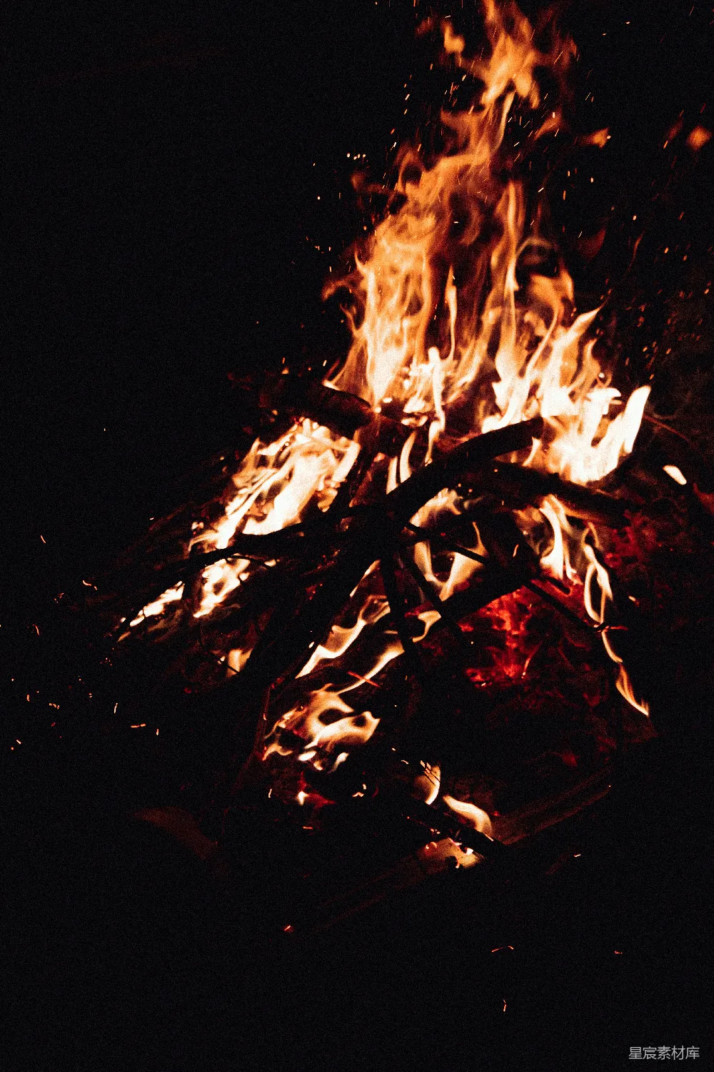 高清摄影 篝火 夜晚 温暖 户外 自然 夜幕下的篝火