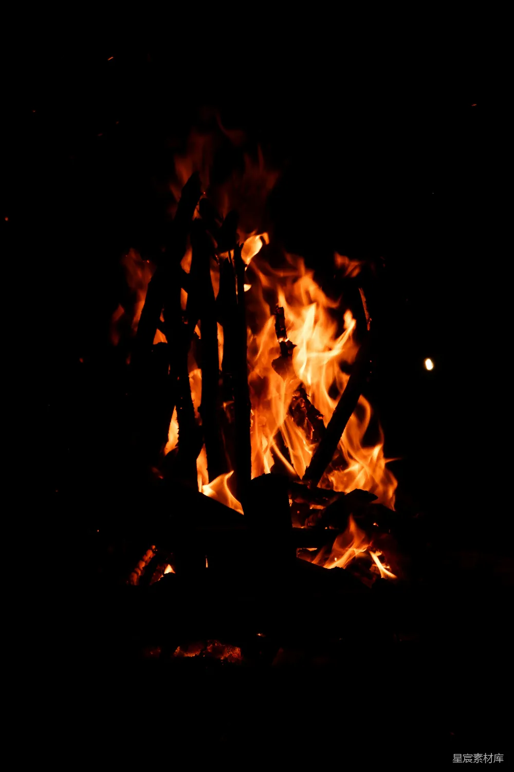 高清摄影 篝火 温暖 夜景 户外 自然 夜幕下的篝火