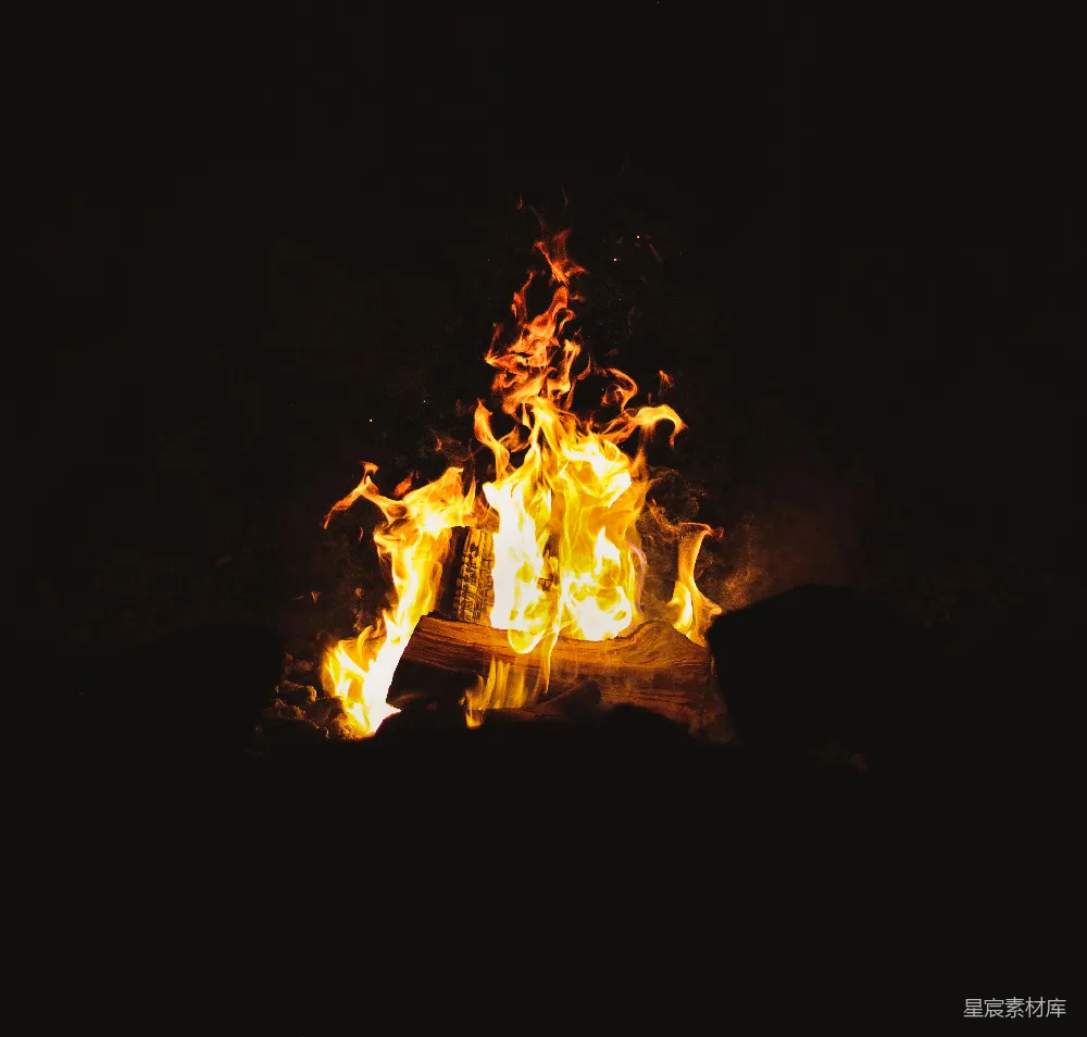 高清摄影 篝火 夜晚 温暖 自然 户外 夜幕下的篝火