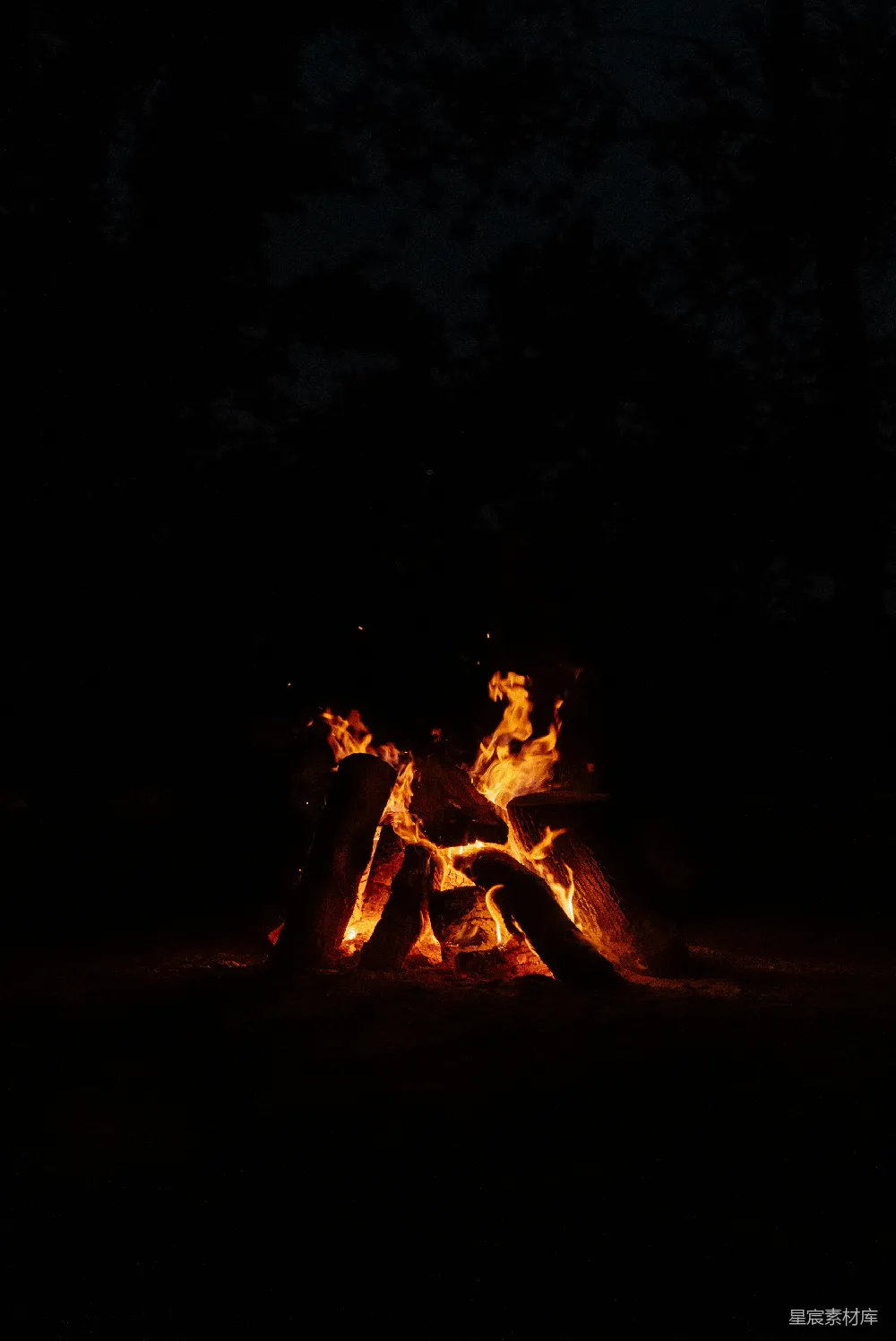 高清摄影 篝火 夜晚 自然 温馨 户外 夜幕下的篝火