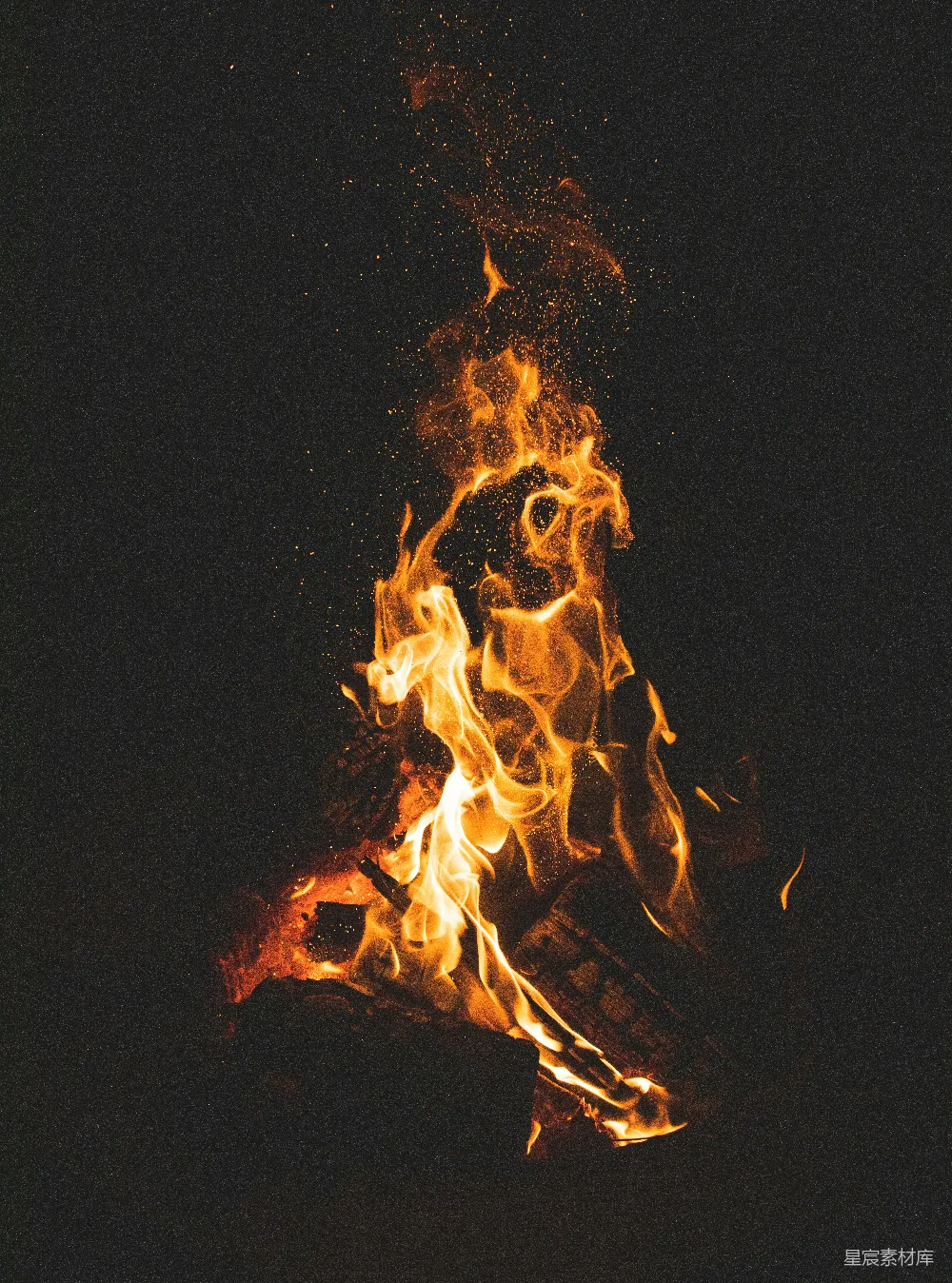 高清摄影 篝火 夜景 温暖 自然 户外 夜幕下的篝火