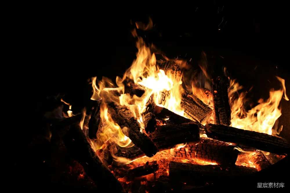高清摄影 篝火 温暖 夜晚 户外 自然 篝火的温暖